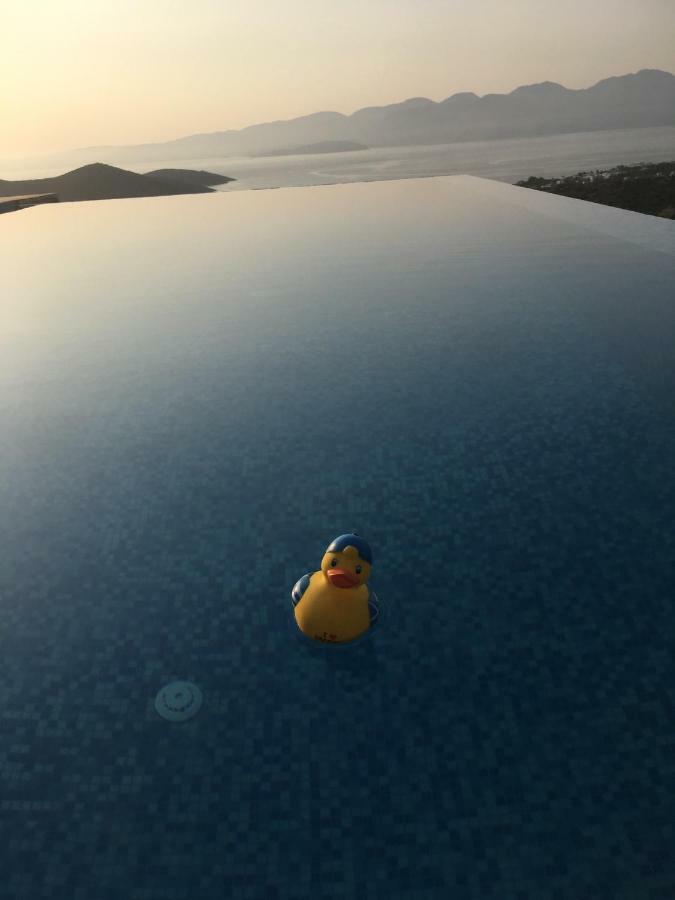 Villa Estee, Luxury Villa With Private Infinity Pool And Jacuzzi Elounda Buitenkant foto